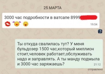 14585638.jpg