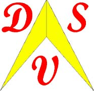 dvs2.jpg