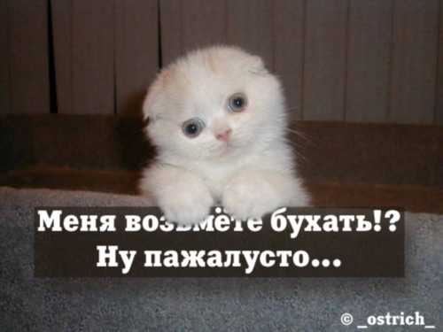post-2-1127429412.jpg