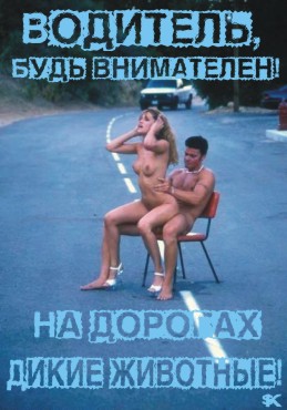 60.jpg