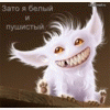 4.gif