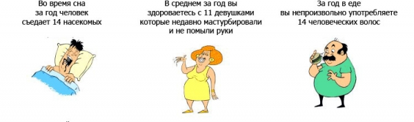 1186144510_2.jpg