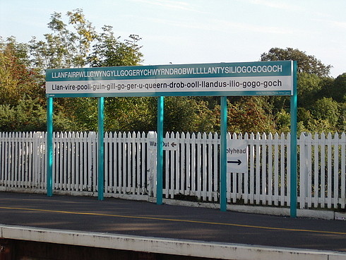 35970141.jpg