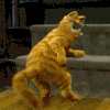 Гарфильд.gif