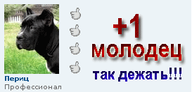 peric+1.gif