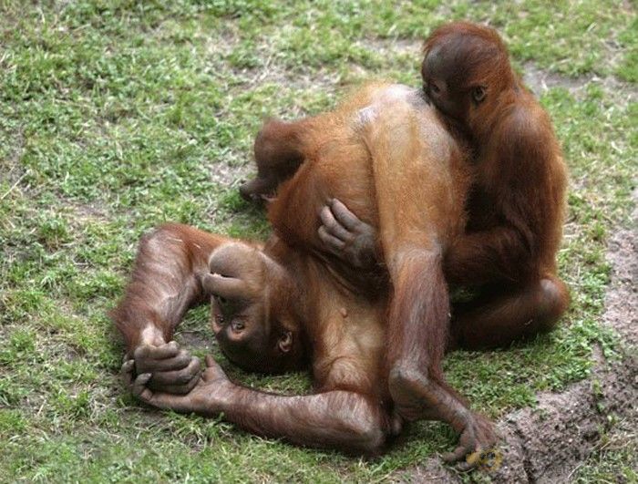 4481.jpg