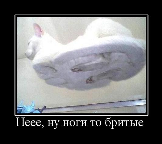 tmpRZdEKf.jpg