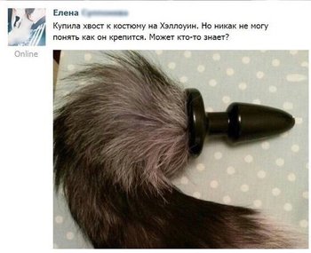 image.jpeg