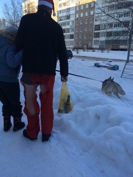 image.jpeg