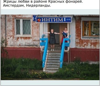 image.jpeg