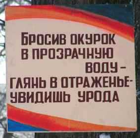 213.jpg