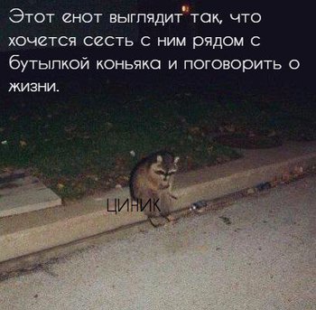 RyTA7_1XX-M.jpg
