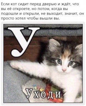 _InFpxLhh8A[1].jpg